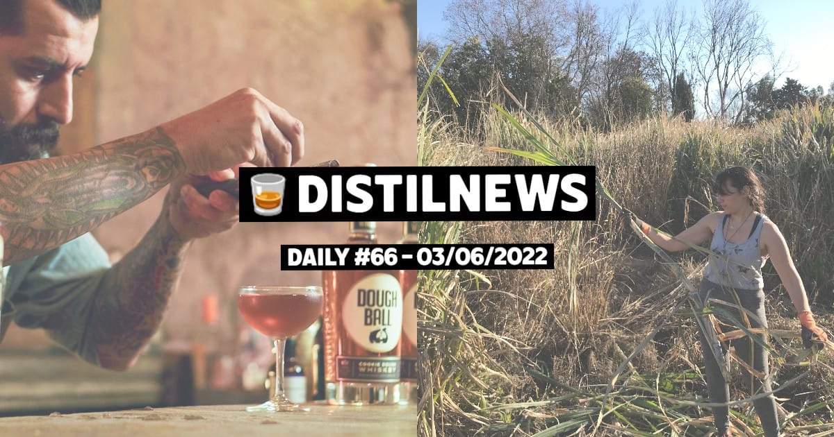 DistilNews Daily #66