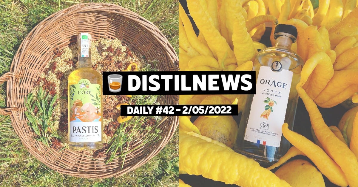 DistilNews Daily #42