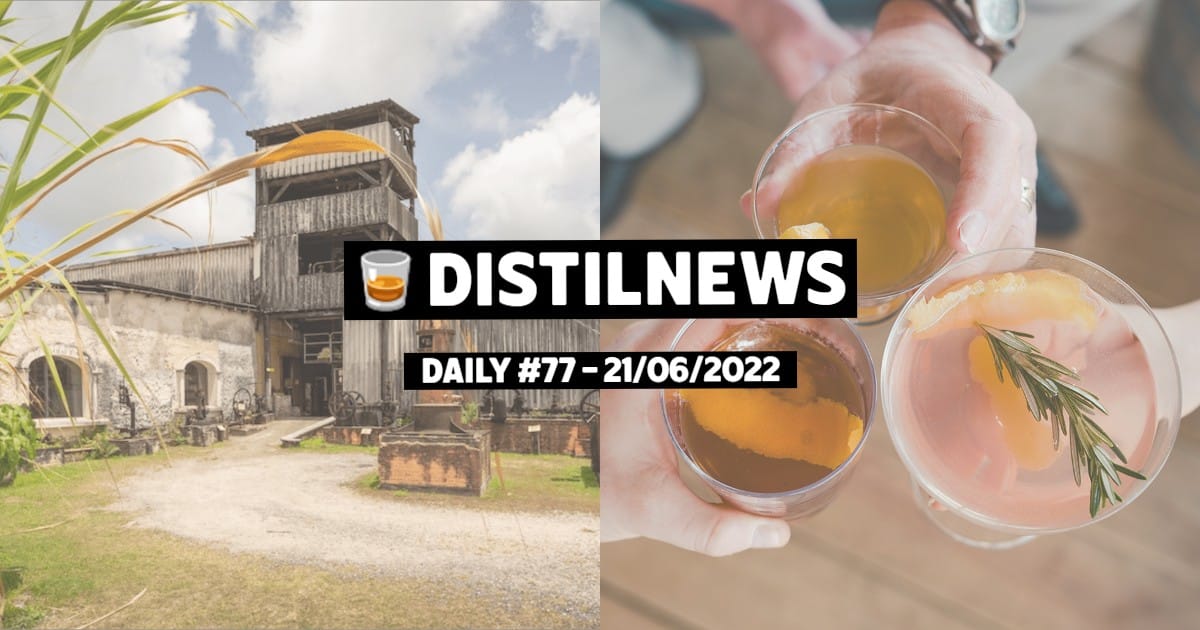 DistilNews Daily #77