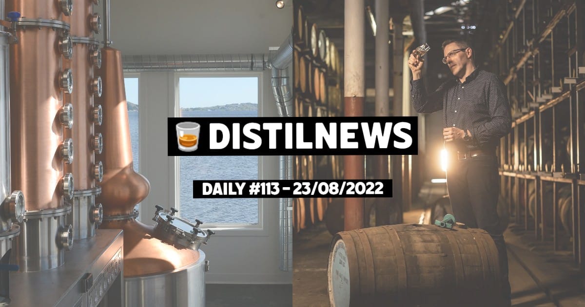 DistilNews Daily #113