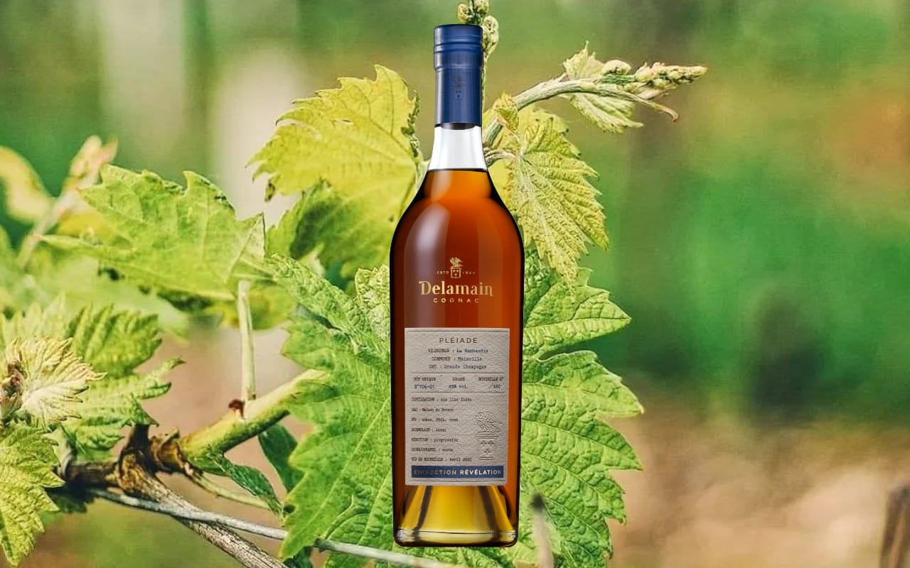 La Maison Delamain présente son cognac La Rambaudie