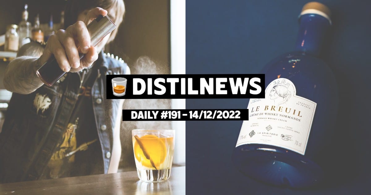DistilNews Daily #191
