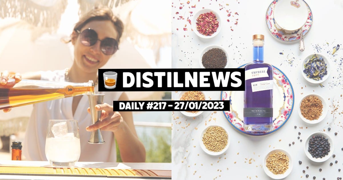 DistilNews Daily #217