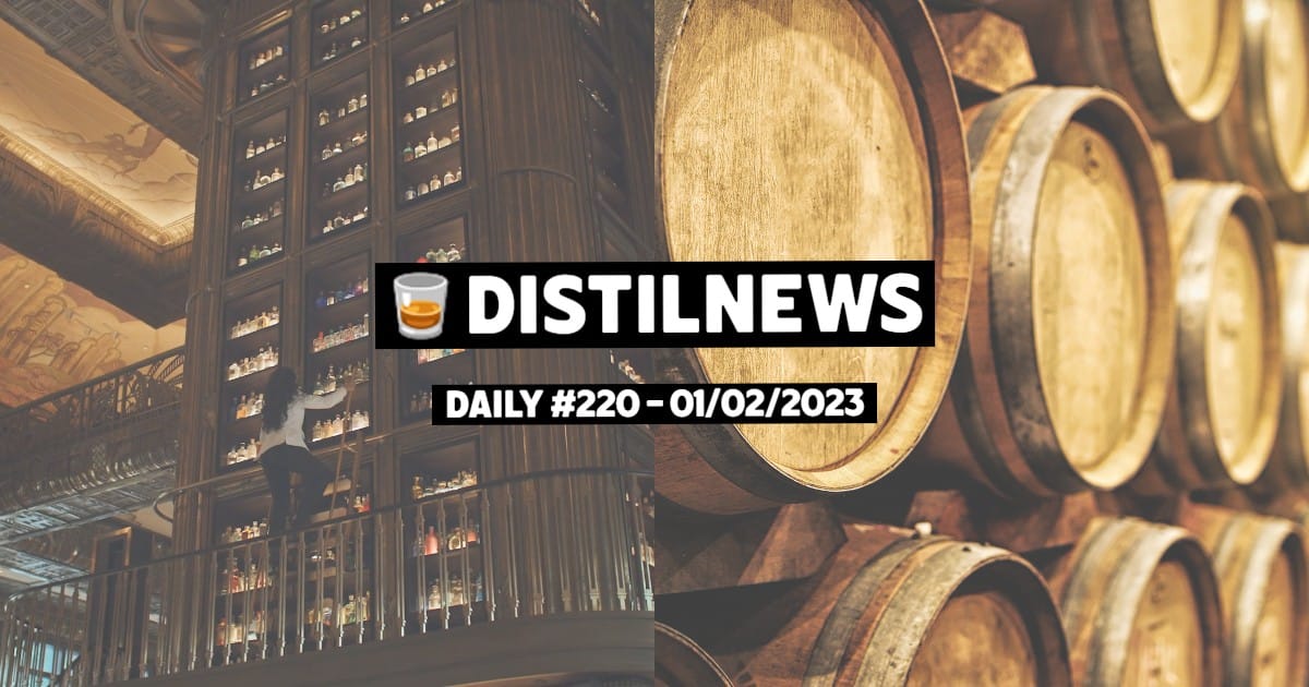 DistilNews Daily #220