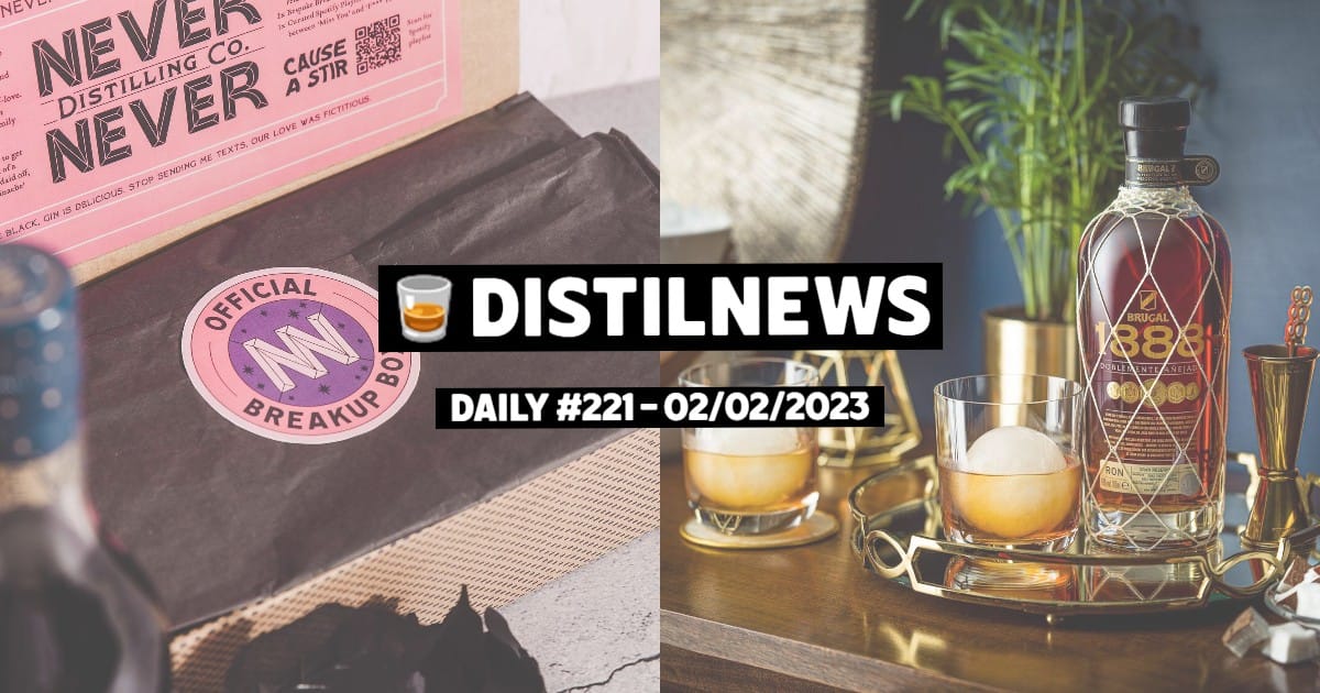 DistilNews Daily #221