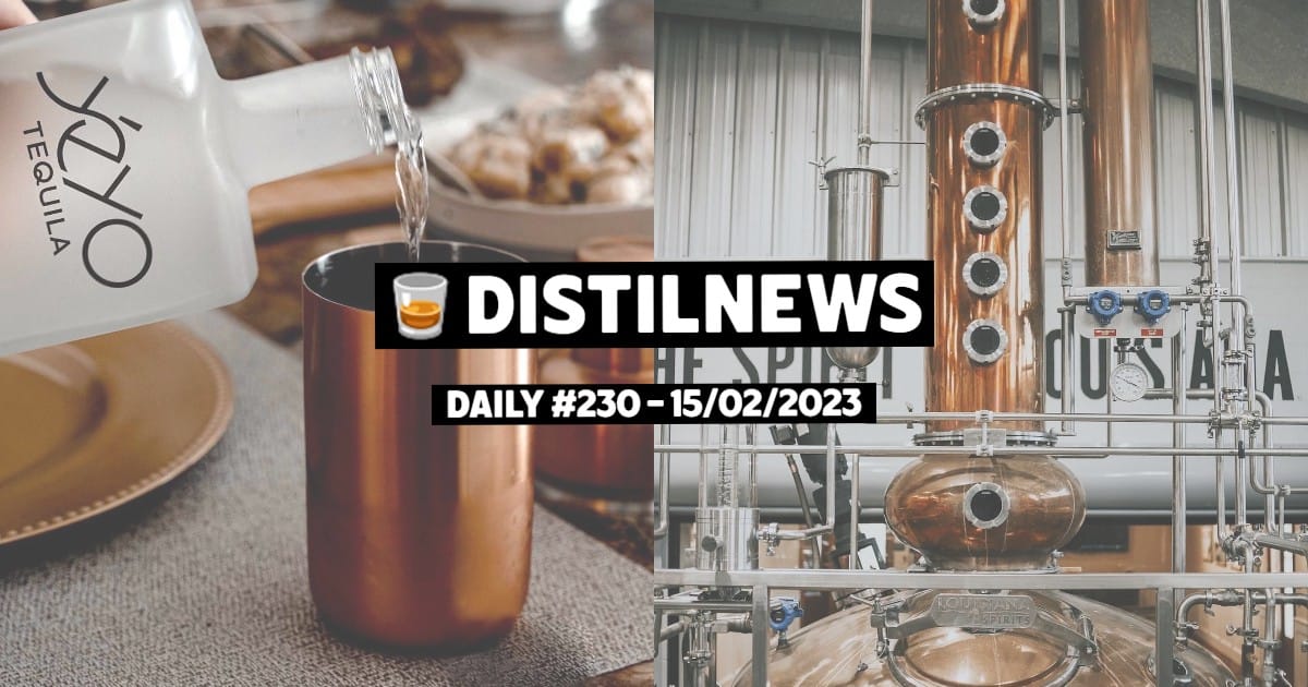 DistilNews Daily #230