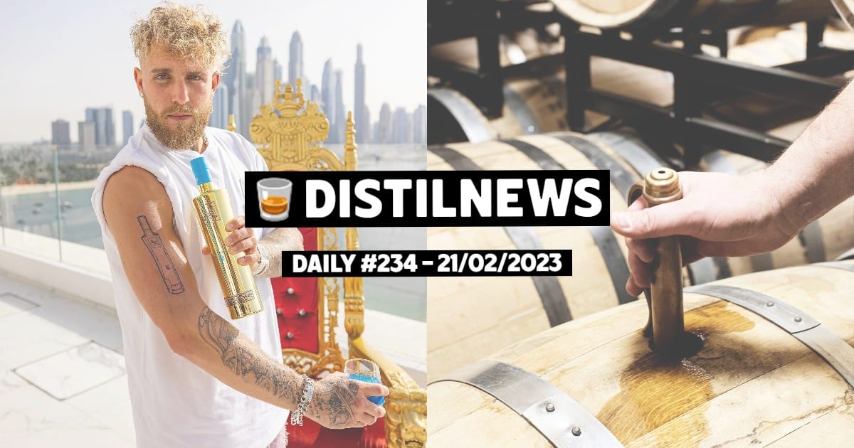 DistilNews Daily #234