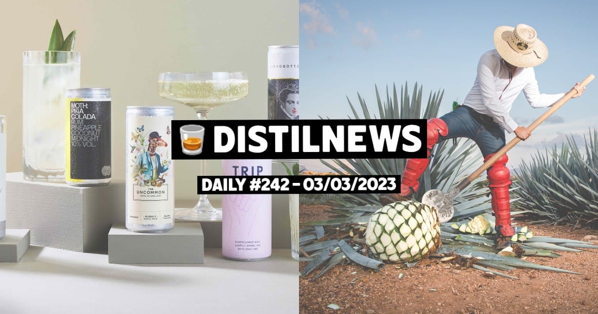DistilNews Daily #242