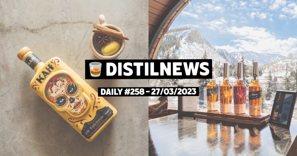 DistilNews Daily #258