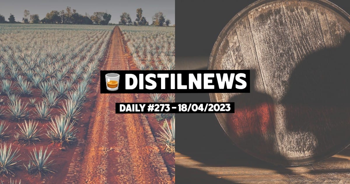 DistilNews Daily #273