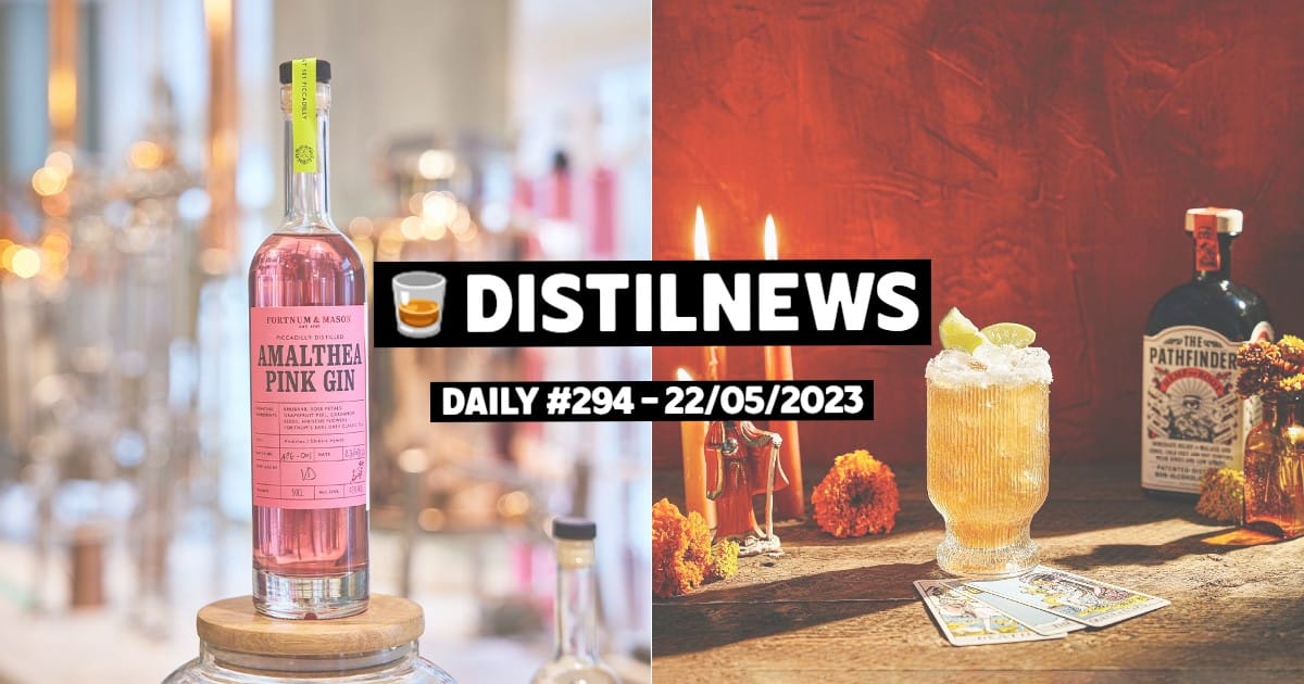 DistilNews Daily #294