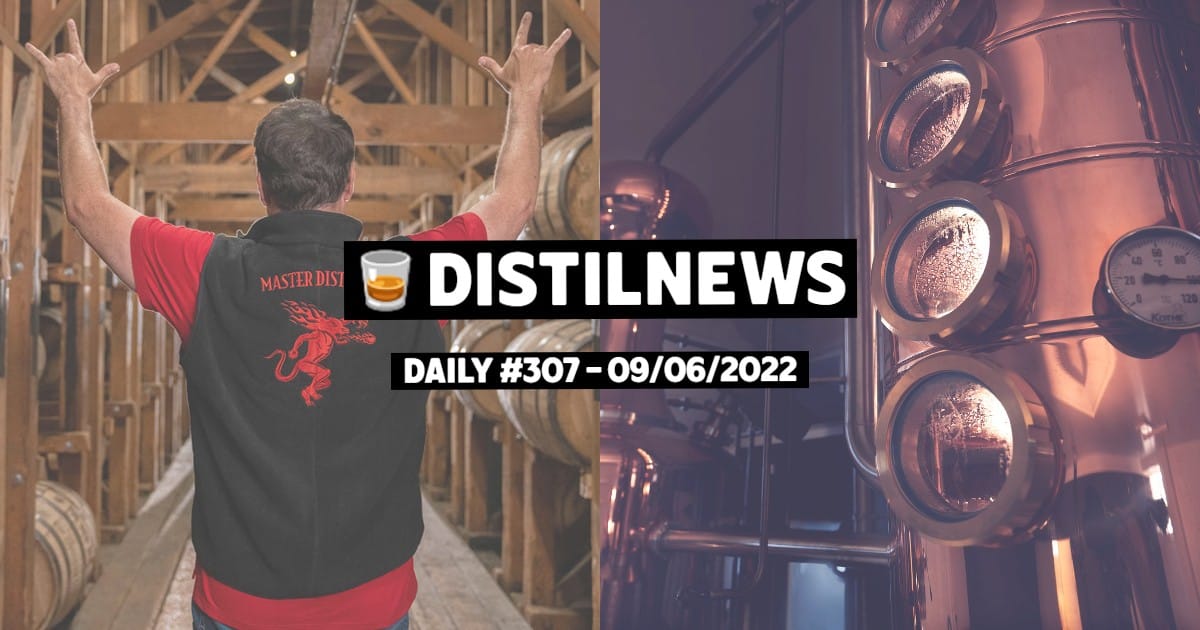 DistilNews Daily #307