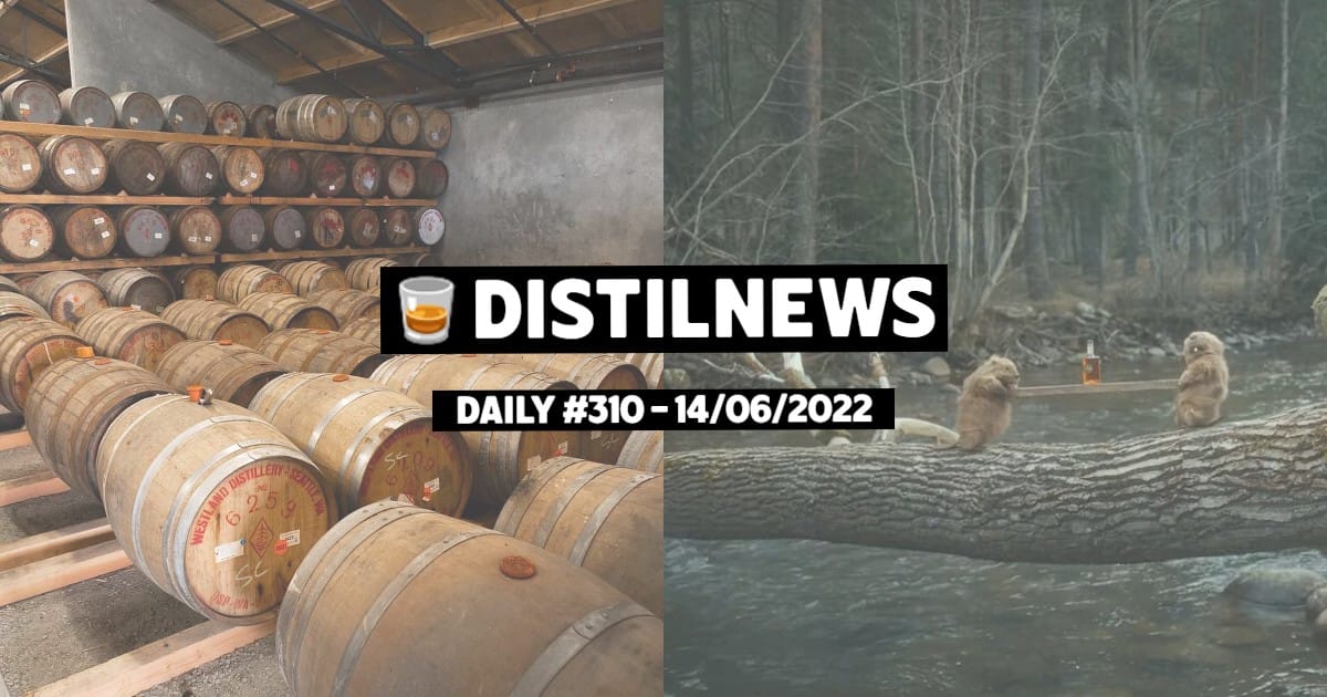 DistilNews Daily #310