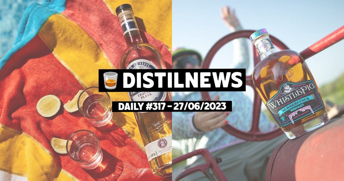 DistilNews Daily #317