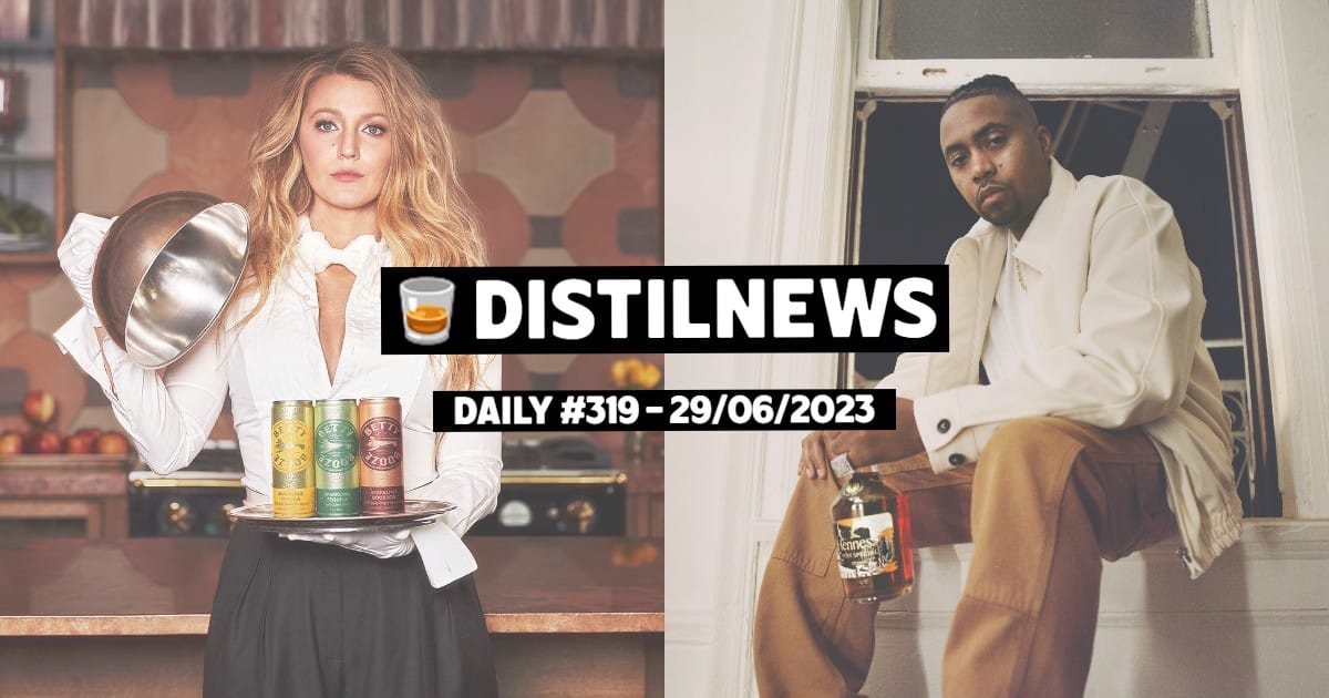 DistilNews Daily #319