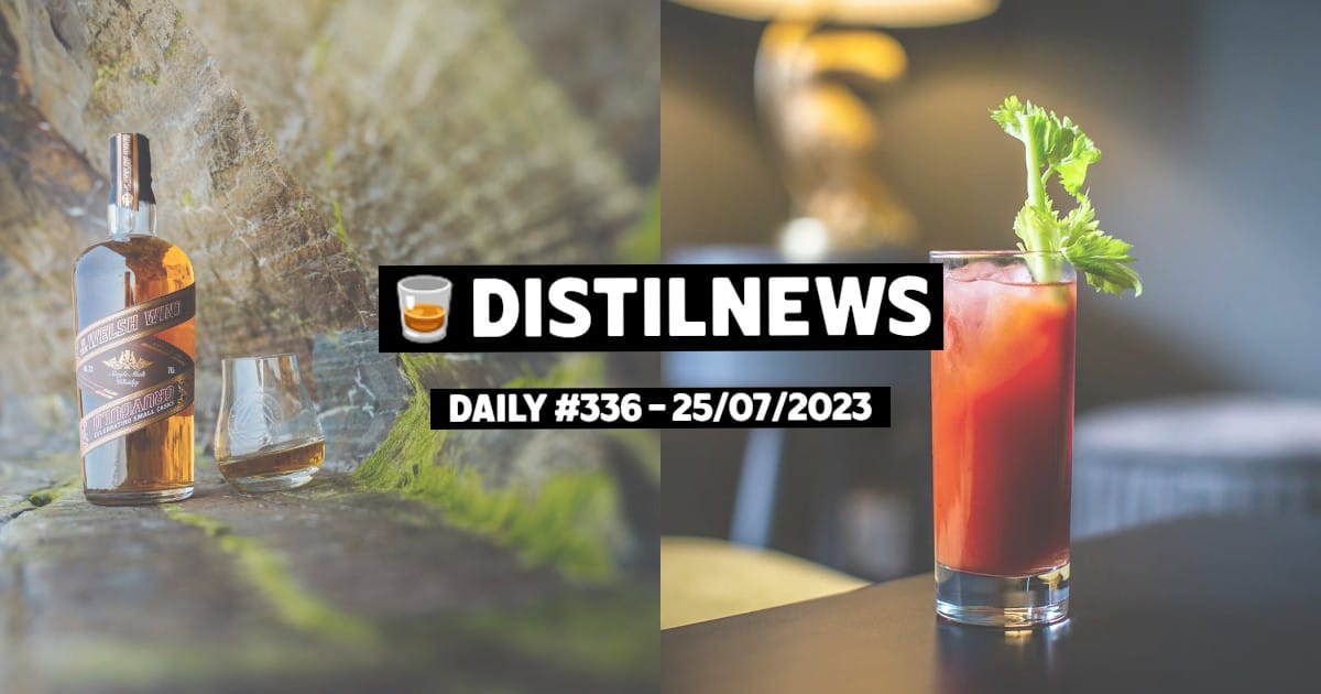 DistilNews Daily #336
