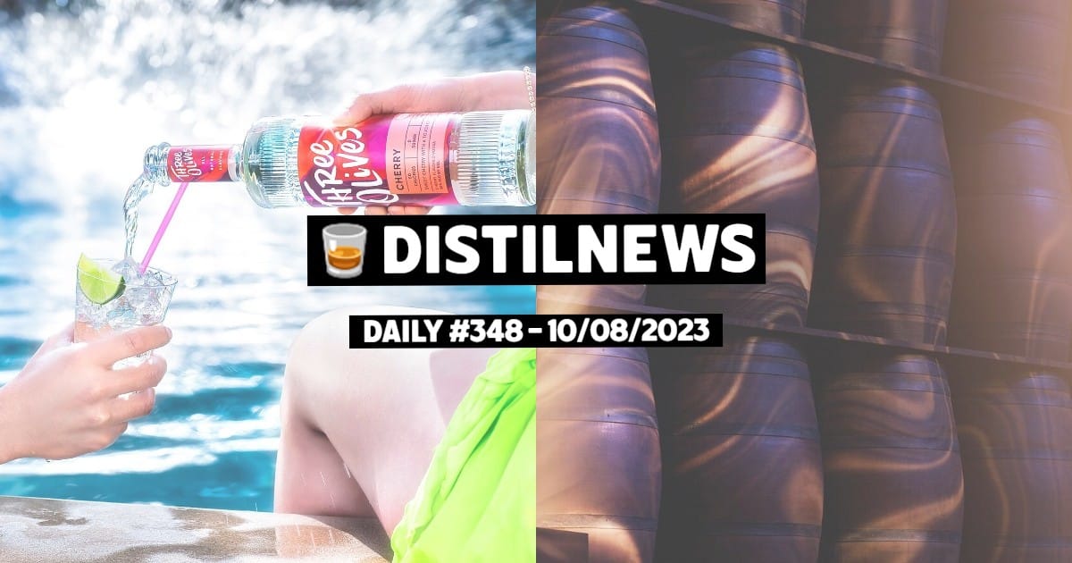 DistilNews Daily #348