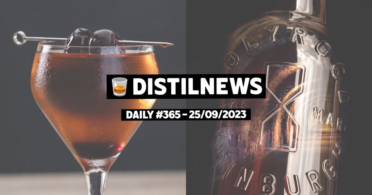 DistilNews Daily #365