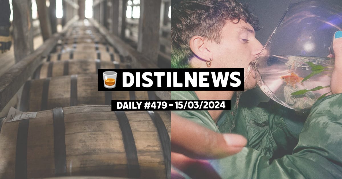DistilNews Daily #479
