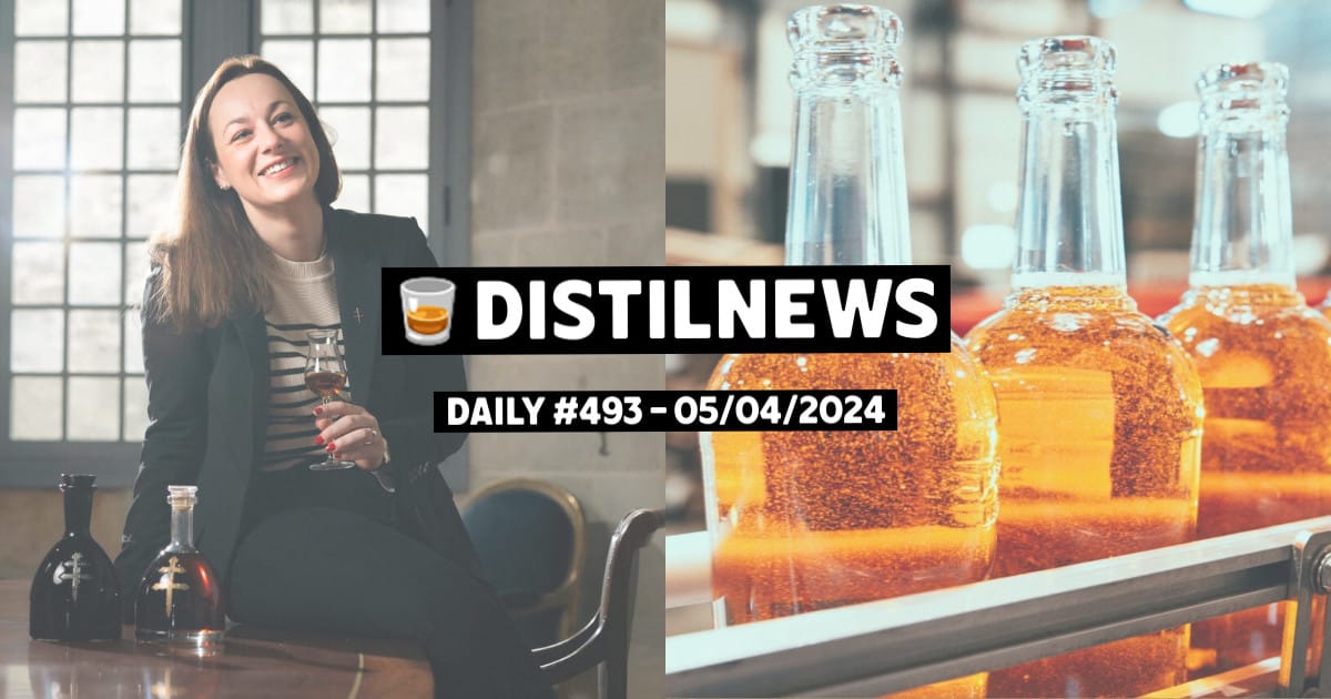 DistilNews Daily #493